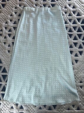Light Blue Polka Dot Midi Skirt